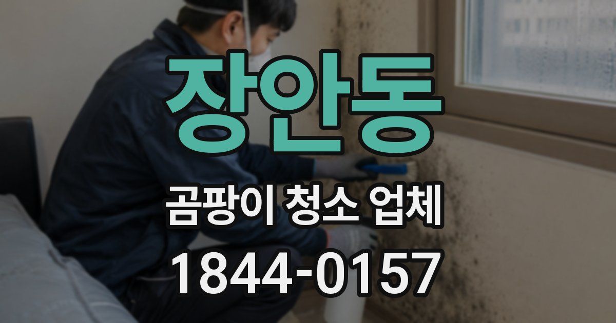 장안동 곰팡이 청소 업체