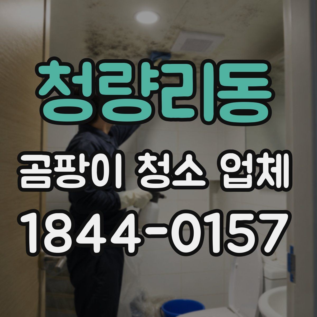 청량리동 곰팡이 청소 업체 환기 부족한 집에서 재발을 줄이는 점검