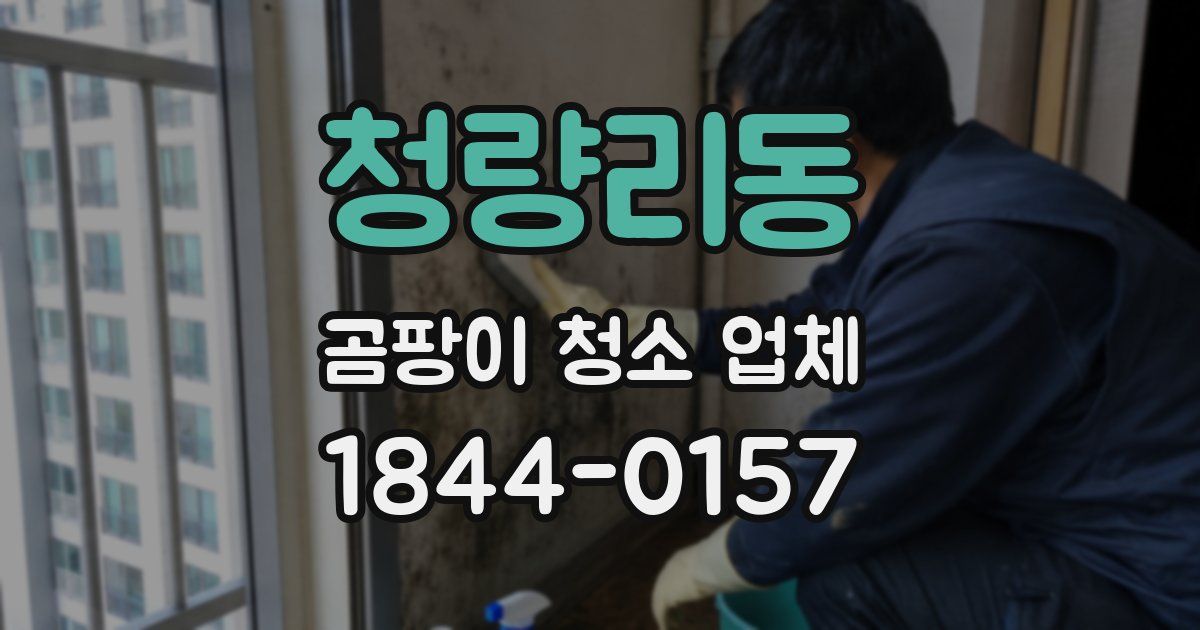청량리동 곰팡이 청소 업체