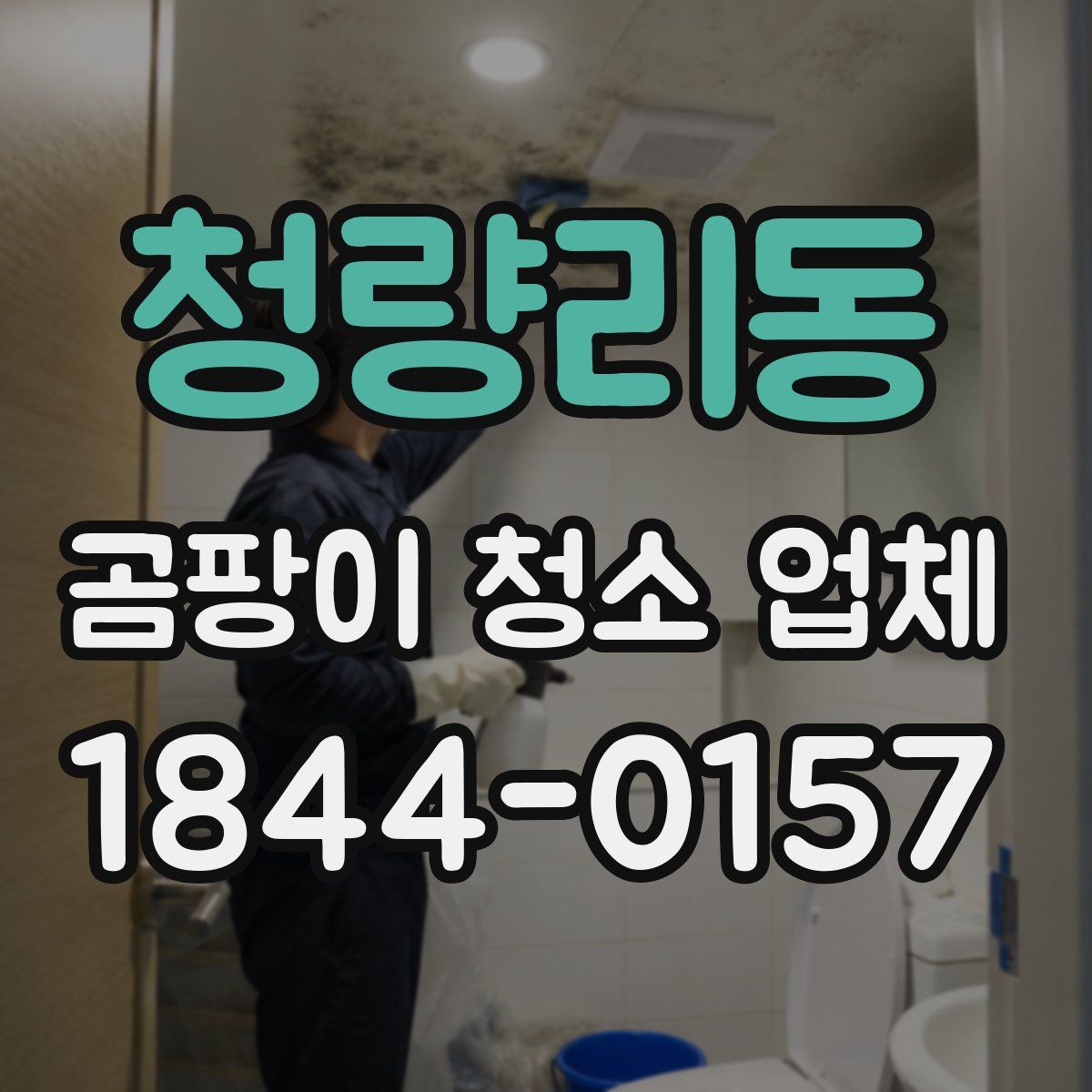 청량리동 곰팡이 청소 업체