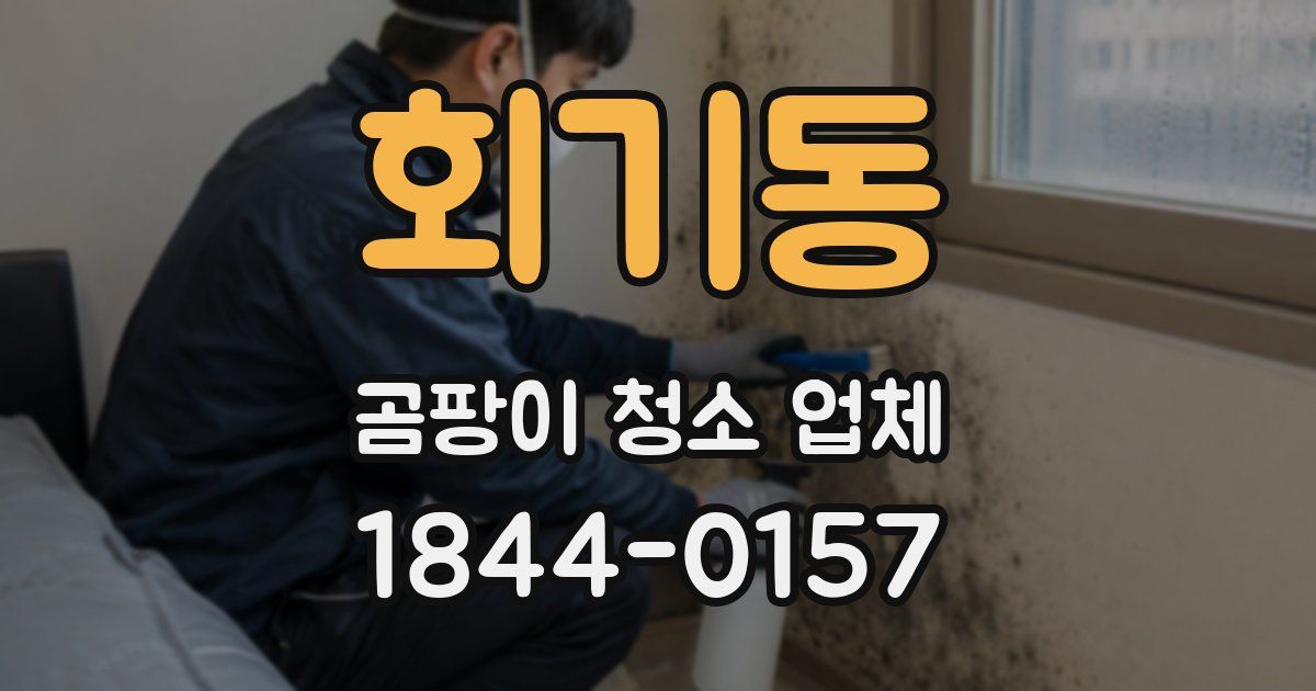 회기동 곰팡이 청소 업체