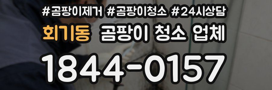 회기동 곰팡이 청소 업체