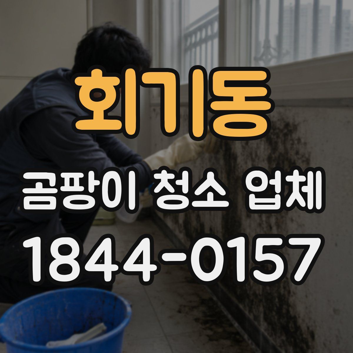 회기동 곰팡이 청소 업체