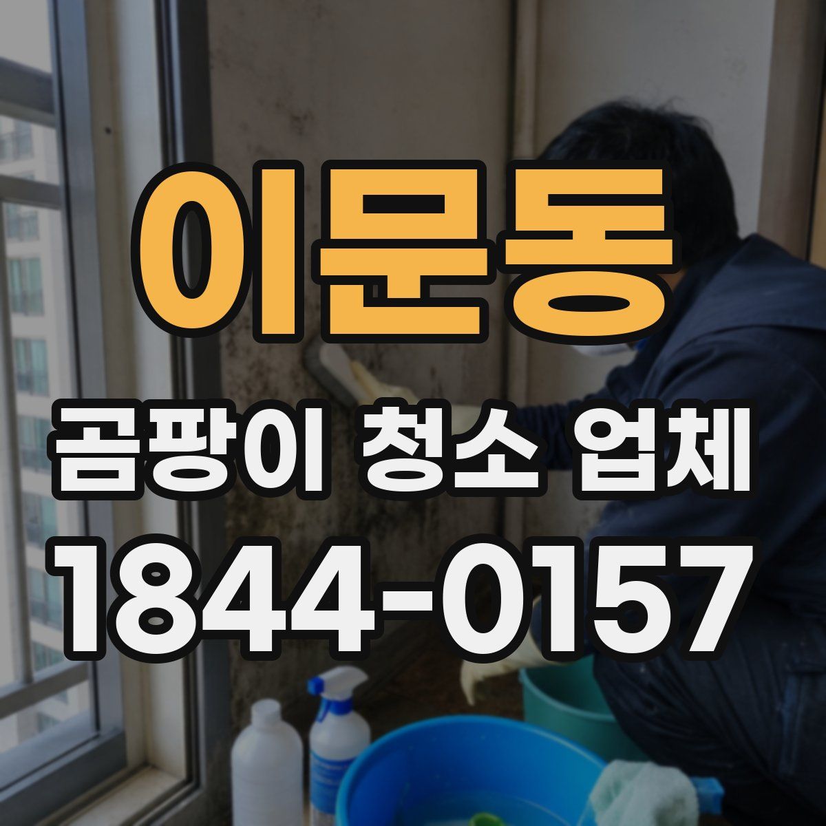 이문동 곰팡이 청소 업체