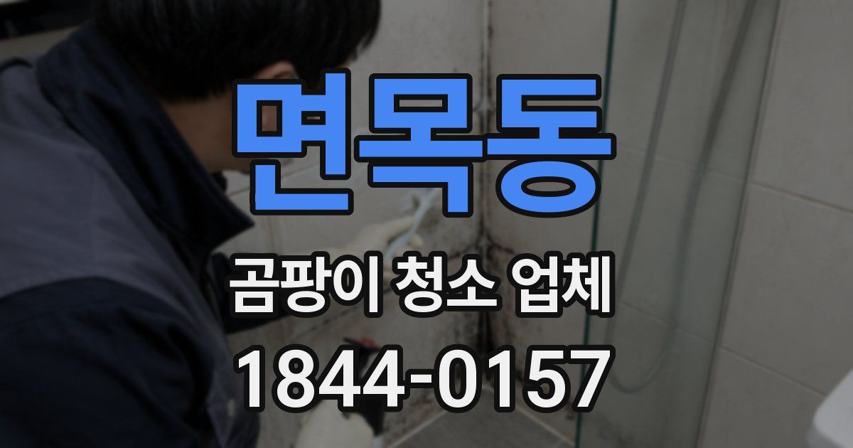 면목동 곰팡이 청소 업체
