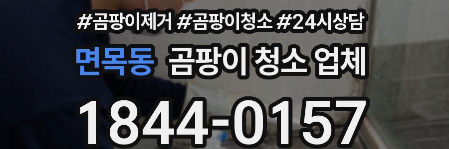 면목동 곰팡이 청소 업체