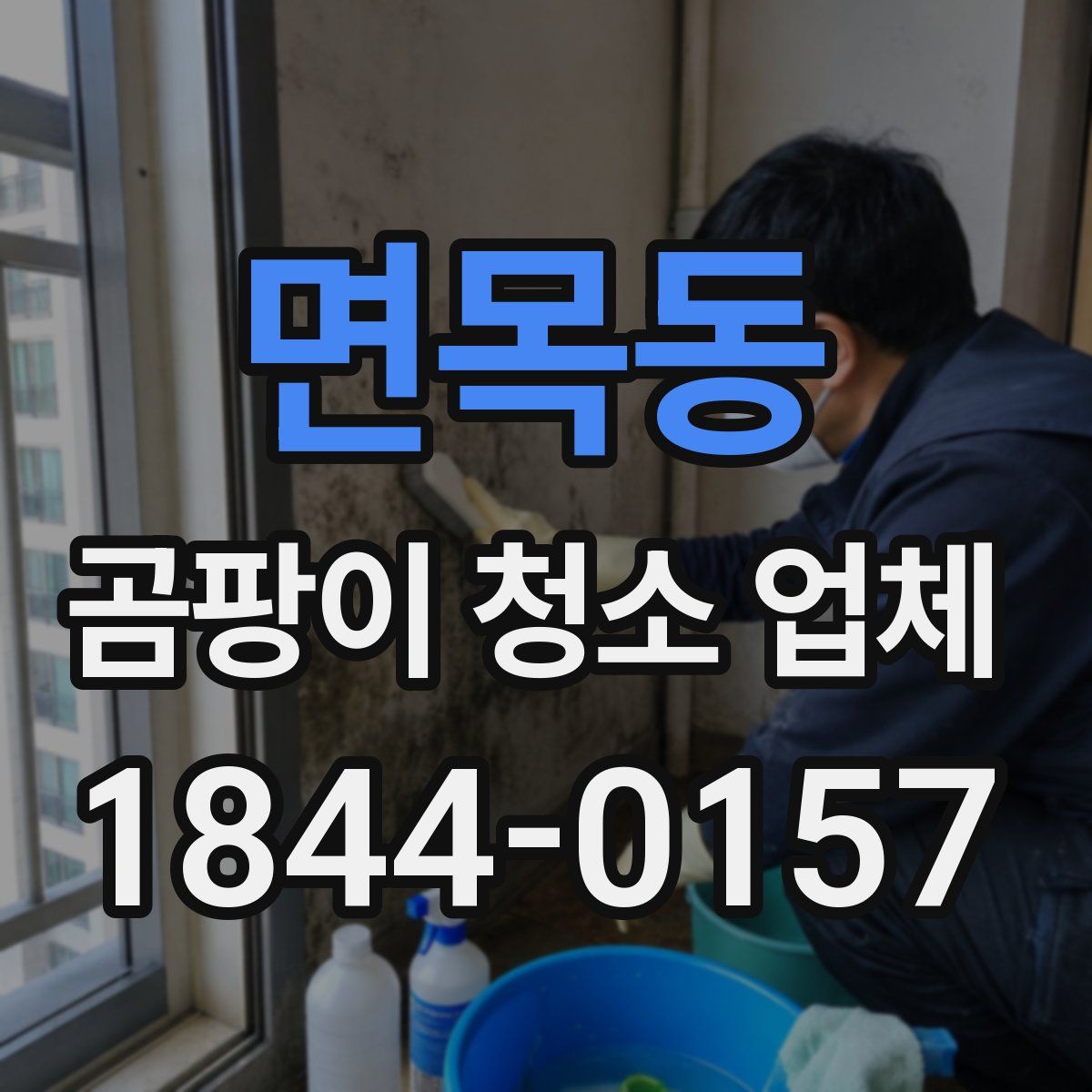 면목동 곰팡이 청소 업체