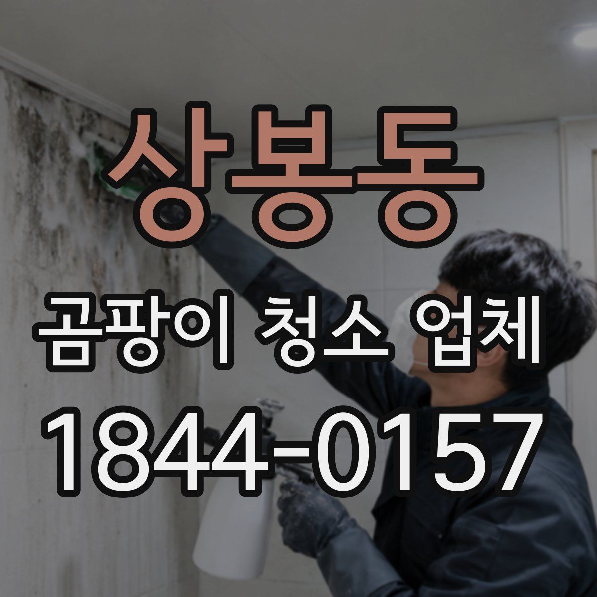 상봉동 곰팡이 청소 업체