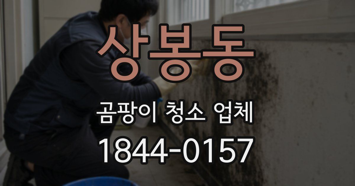 상봉동 곰팡이 청소 업체