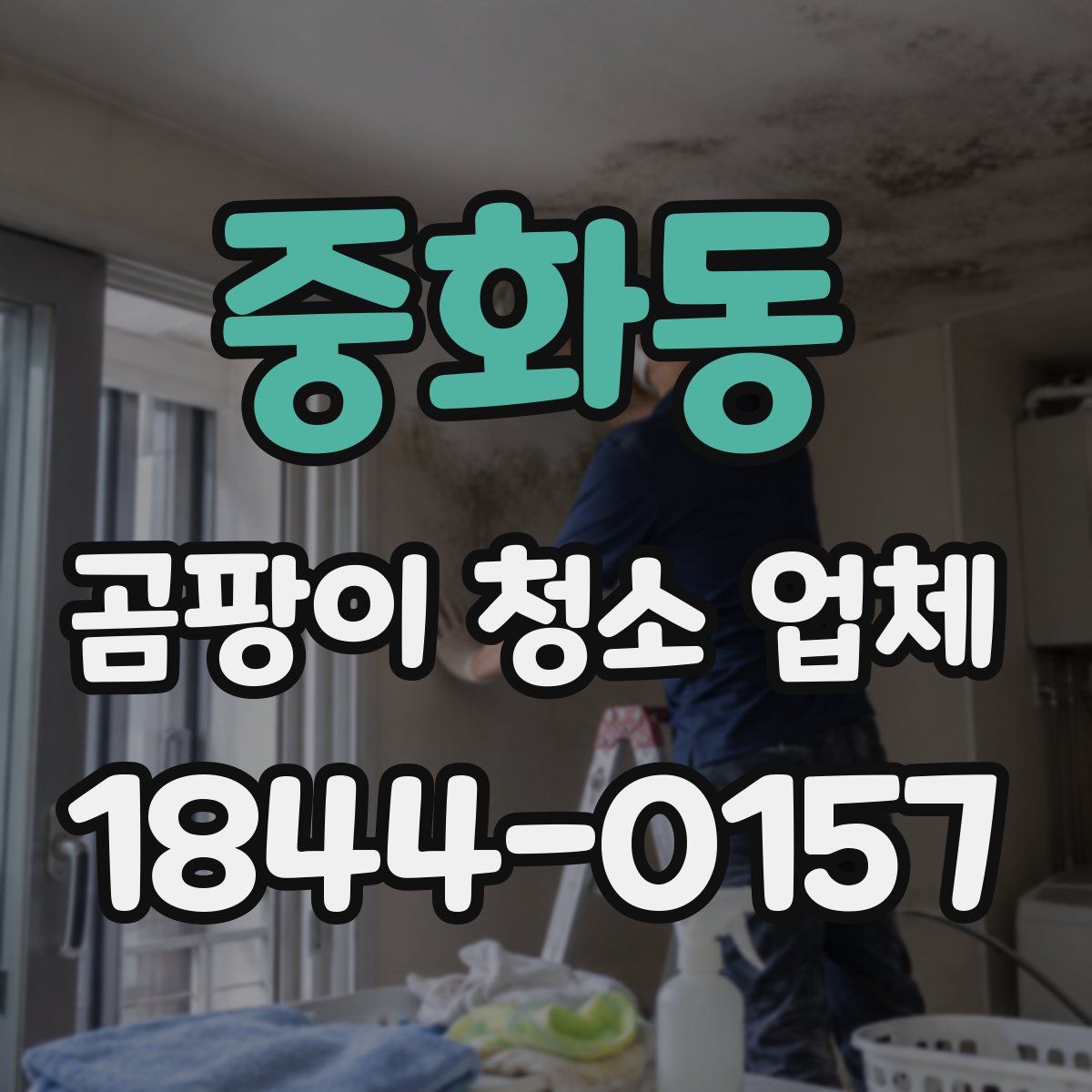 중화동 곰팡이 청소 업체