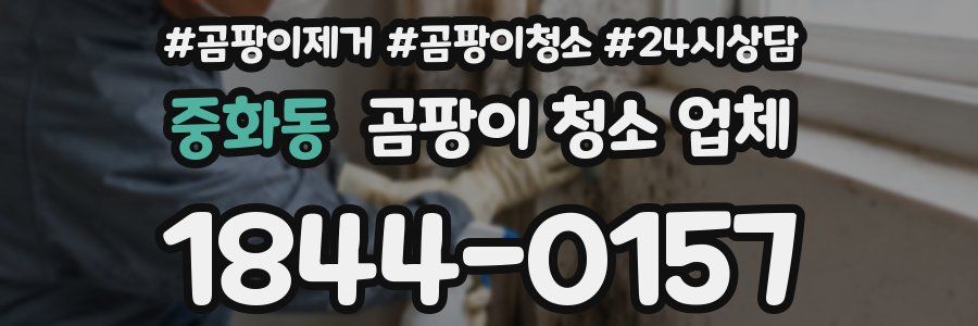 중화동 곰팡이 청소 업체