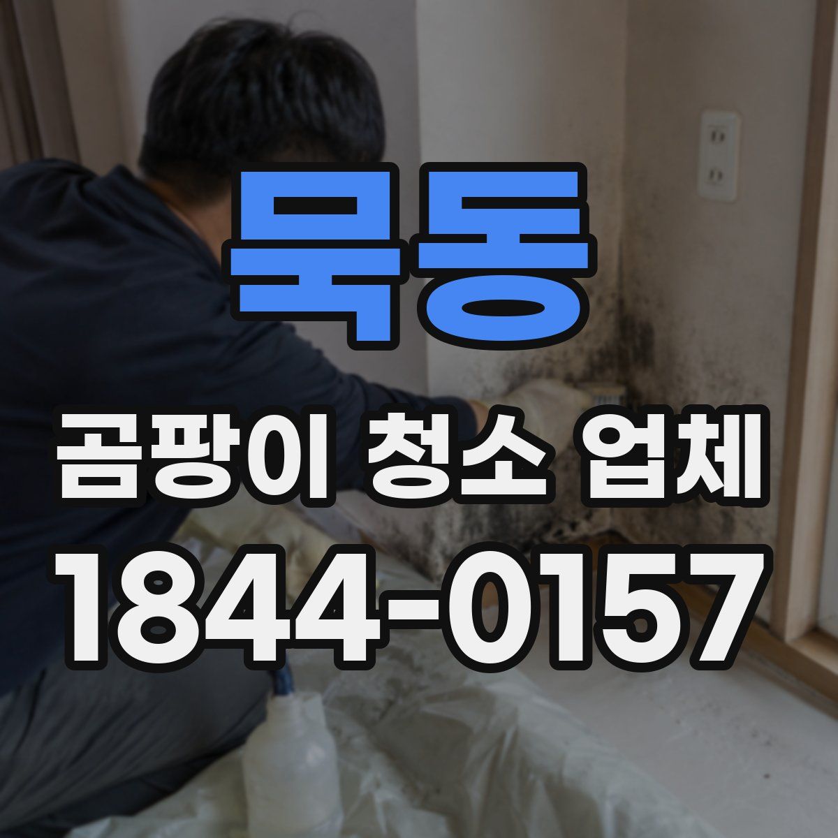 묵동 곰팡이 청소 업체