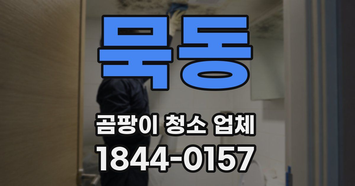 묵동 곰팡이 청소 업체