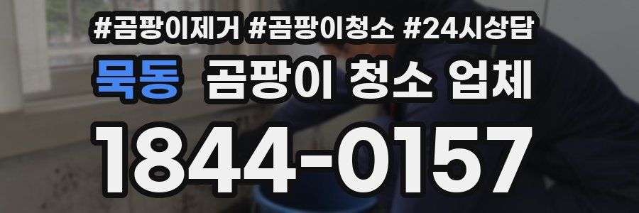묵동 곰팡이 청소 업체