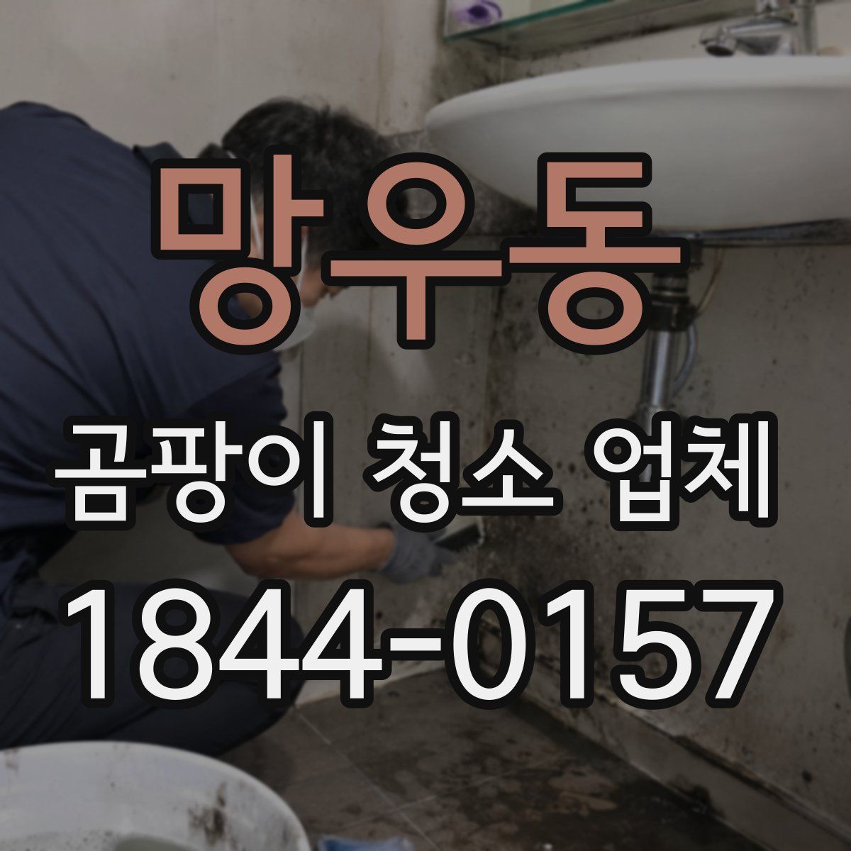 망우동 곰팡이 청소 업체