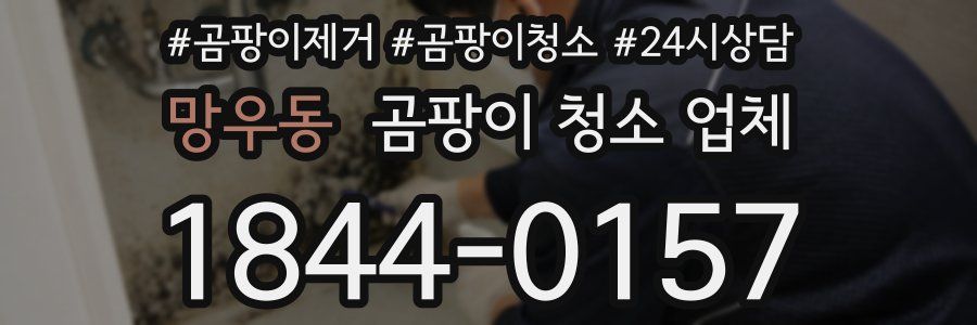 망우동 곰팡이 청소 업체