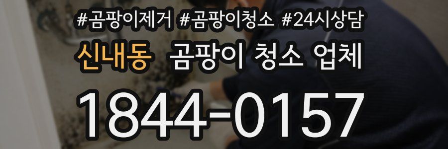 신내동 곰팡이 청소 업체