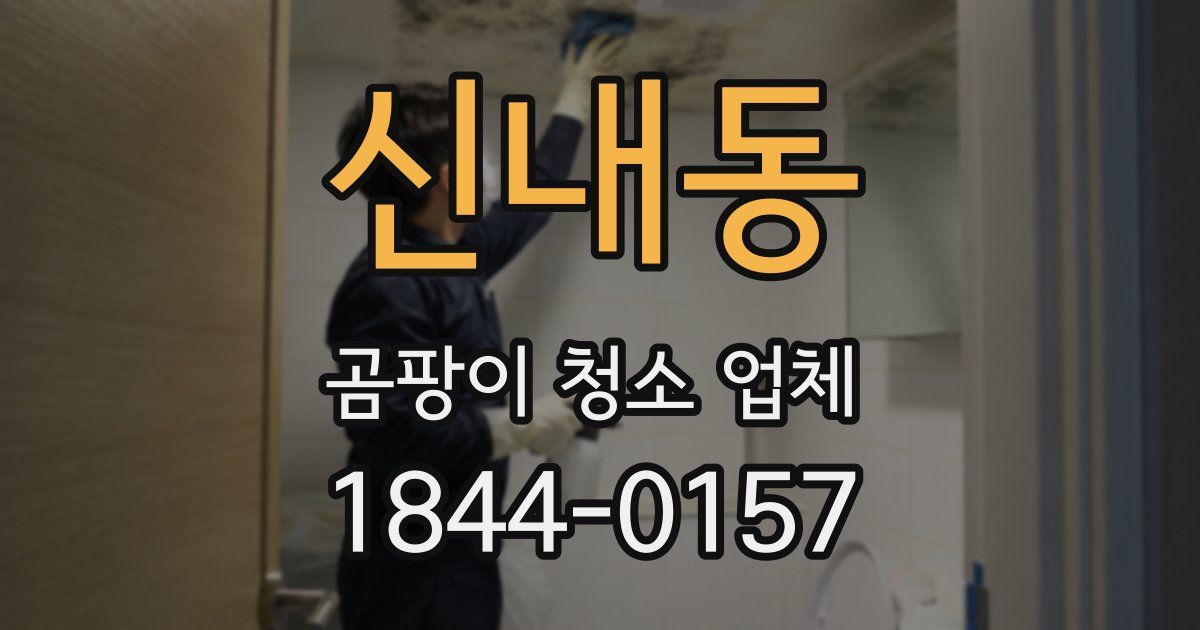 신내동 곰팡이 청소 업체