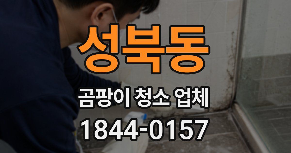 성북동 곰팡이 청소 업체