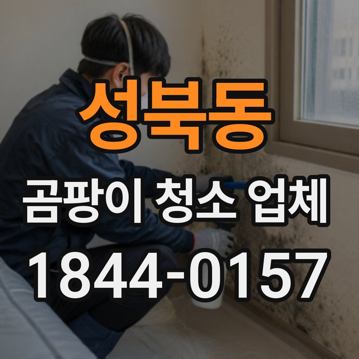 성북동 곰팡이 청소 업체