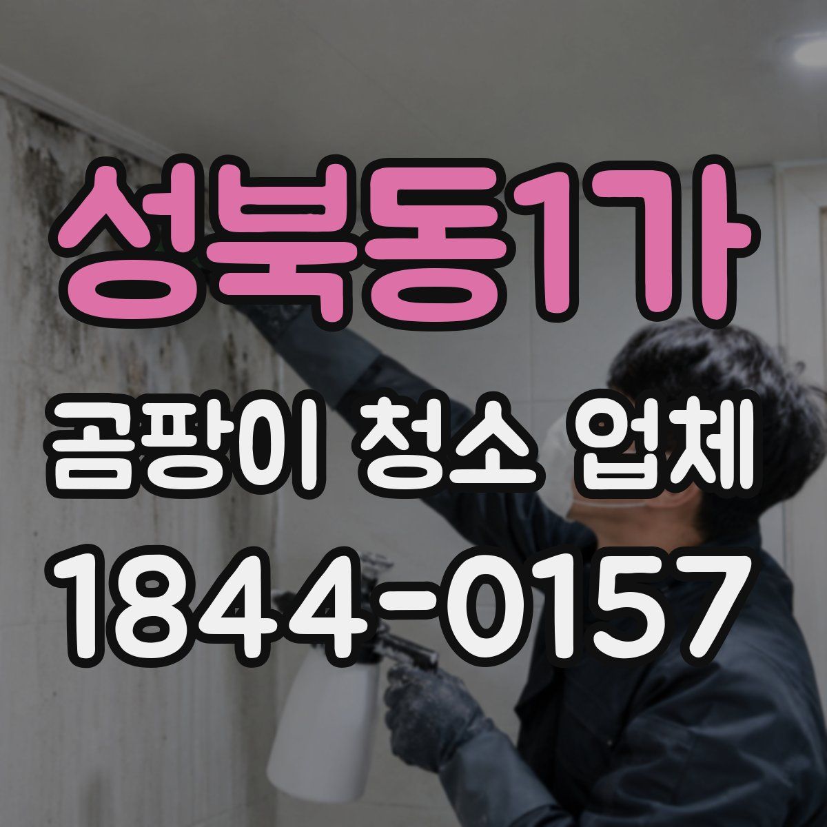 성북동1가 곰팡이 청소 업체