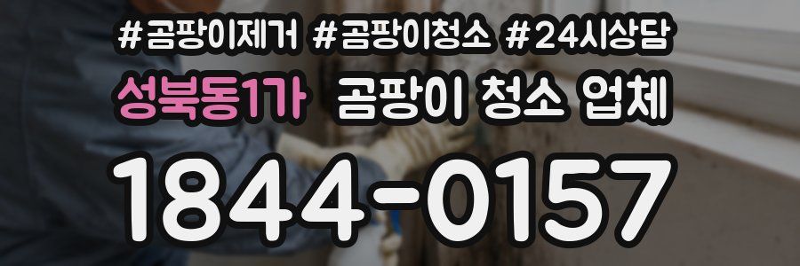 성북동1가 곰팡이 청소 업체
