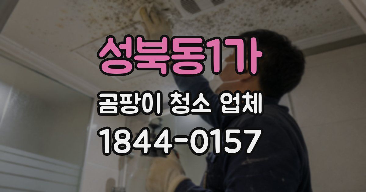 성북동1가 곰팡이 청소 업체