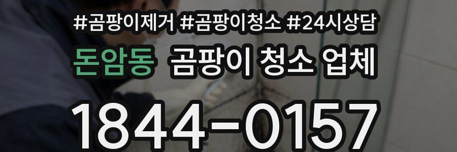 돈암동 곰팡이 청소 업체