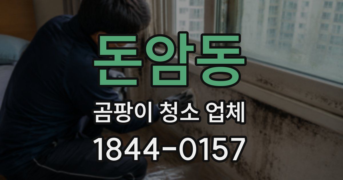 돈암동 곰팡이 청소 업체