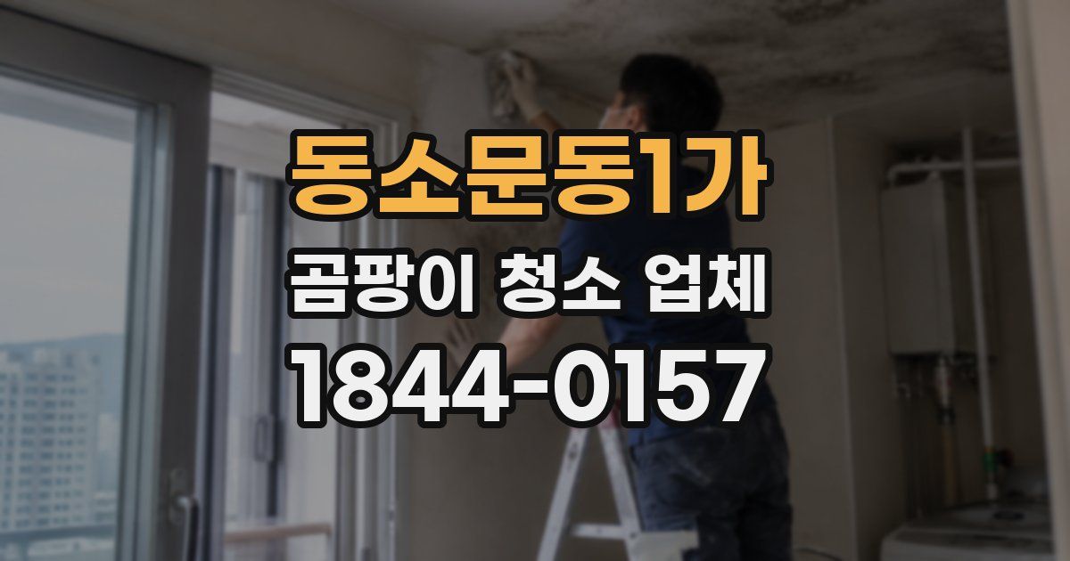 동소문동1가 곰팡이 청소 업체