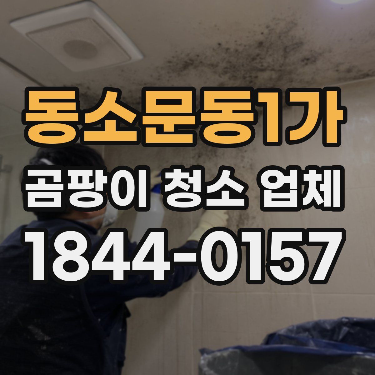 동소문동1가 곰팡이 청소 업체