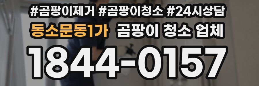 동소문동1가 곰팡이 청소 업체
