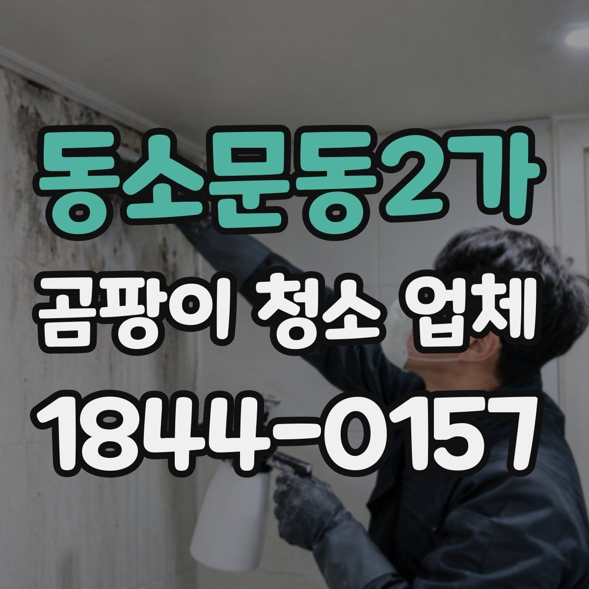 동소문동2가 곰팡이 청소 업체 주방 싱크대 주변을 먼저 확인해야 하는 이유