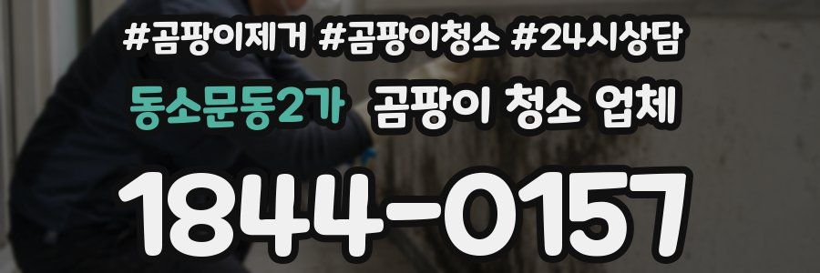 동소문동2가 곰팡이 청소 업체