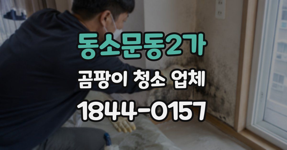 동소문동2가 곰팡이 청소 업체