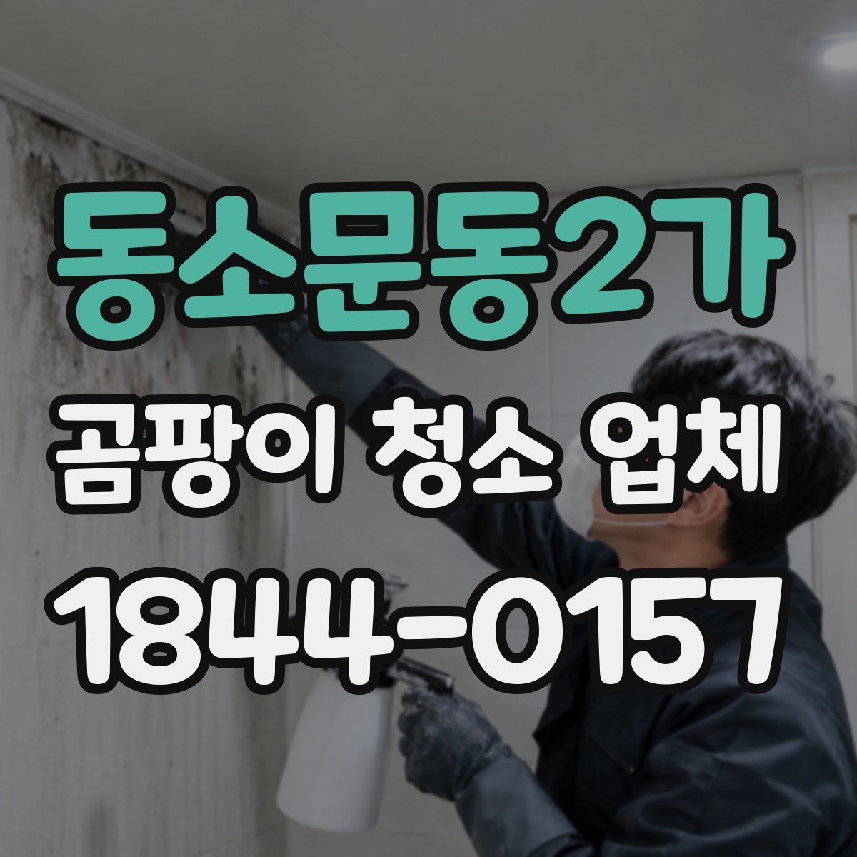 동소문동2가 곰팡이 청소 업체