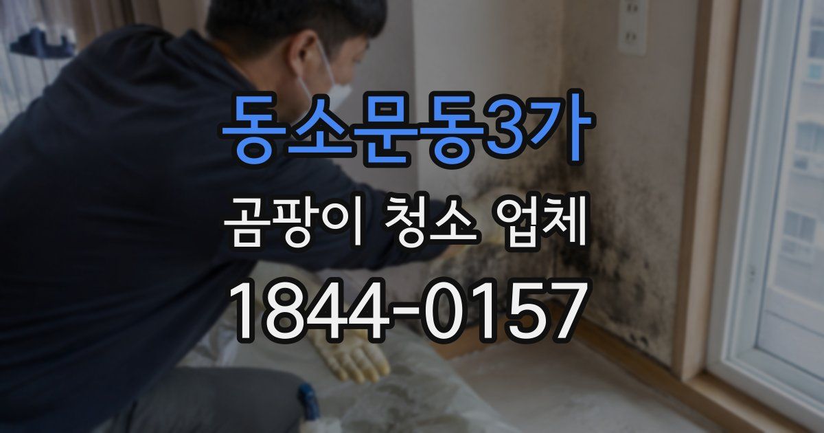 동소문동3가 곰팡이 청소 업체