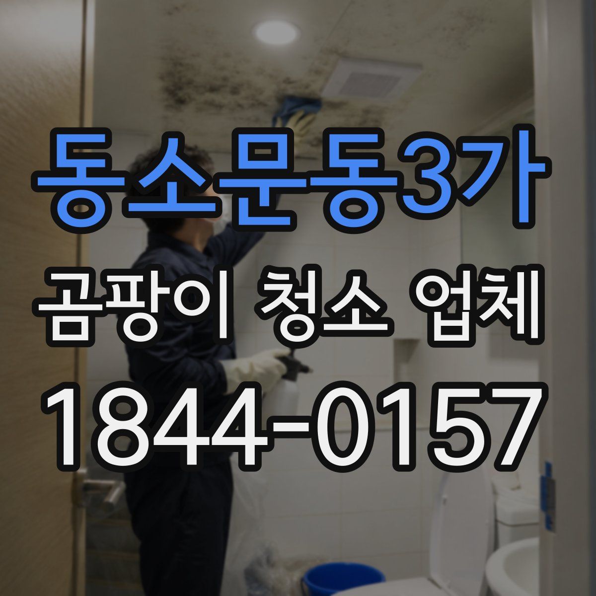 동소문동3가 곰팡이 청소 업체