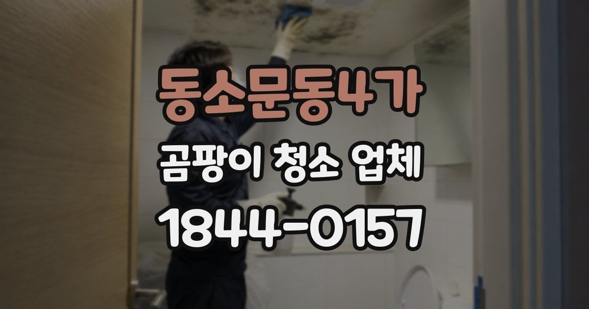 동소문동4가 곰팡이 청소 업체