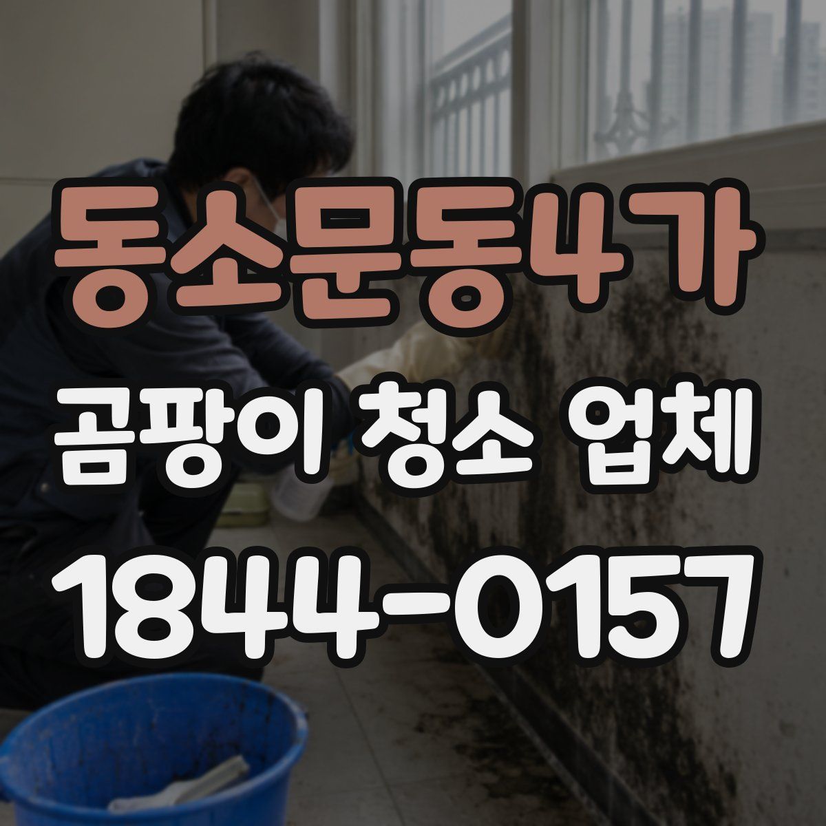 동소문동4가 곰팡이 청소 업체