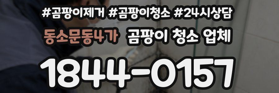 동소문동4가 곰팡이 청소 업체