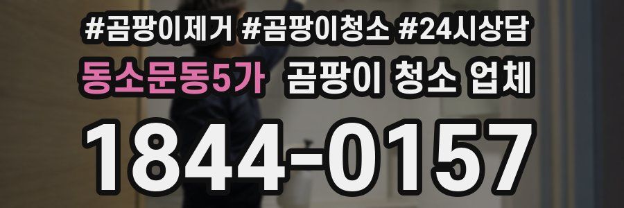 동소문동5가 곰팡이 청소 업체