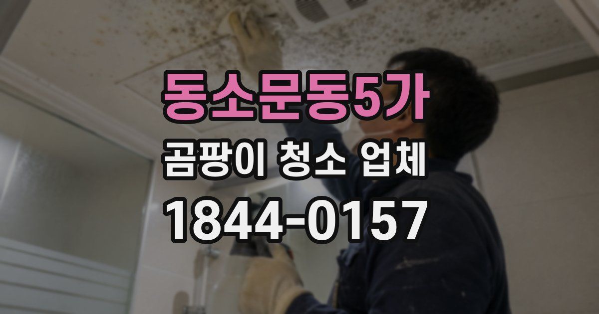 동소문동5가 곰팡이 청소 업체