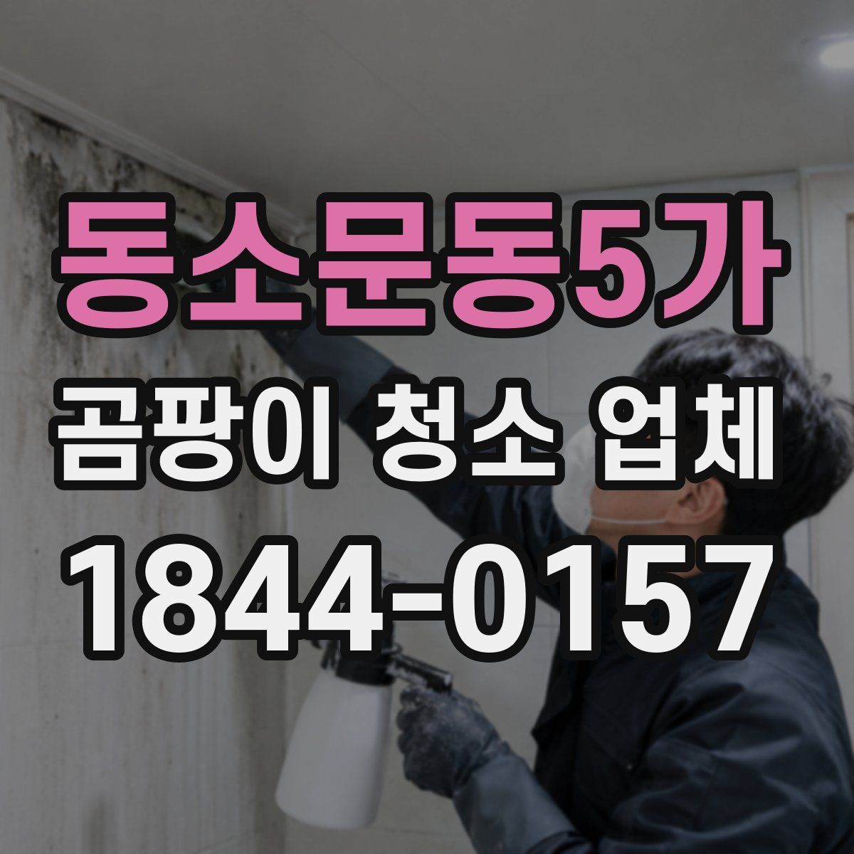 동소문동5가 곰팡이 청소 업체