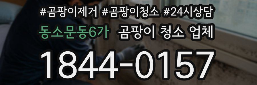 동소문동6가 곰팡이 청소 업체