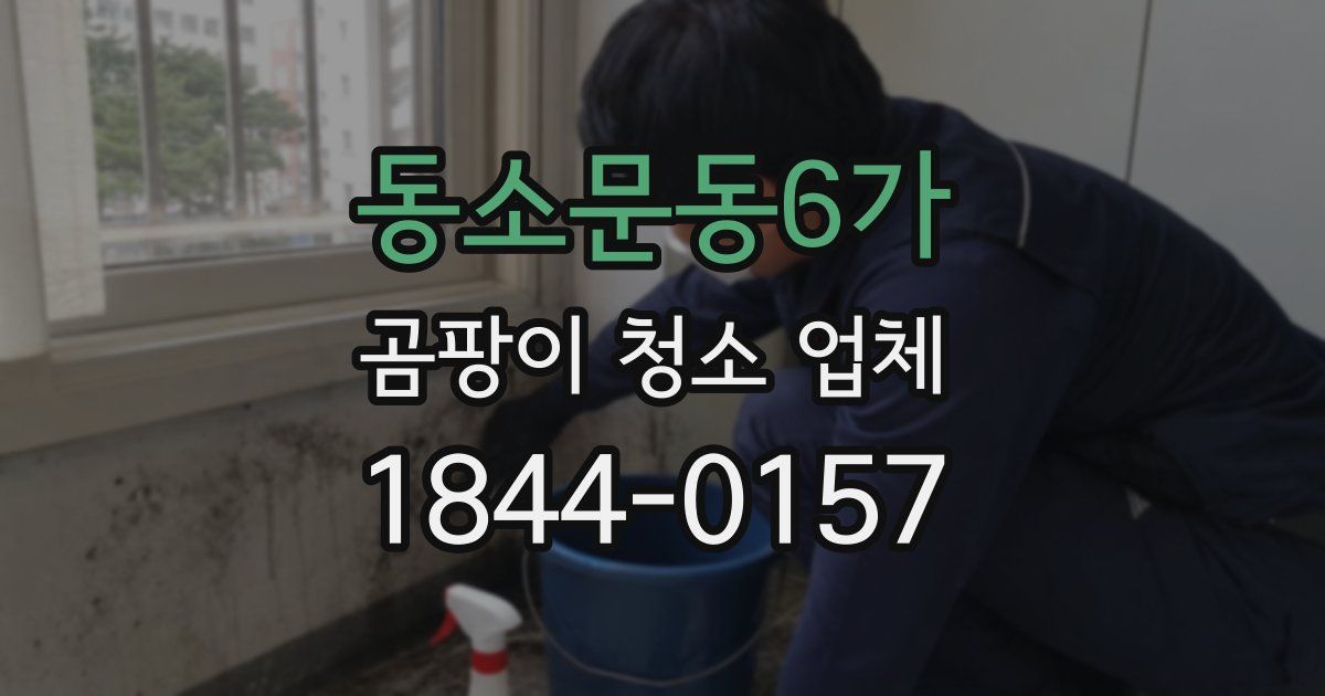 동소문동6가 곰팡이 청소 업체