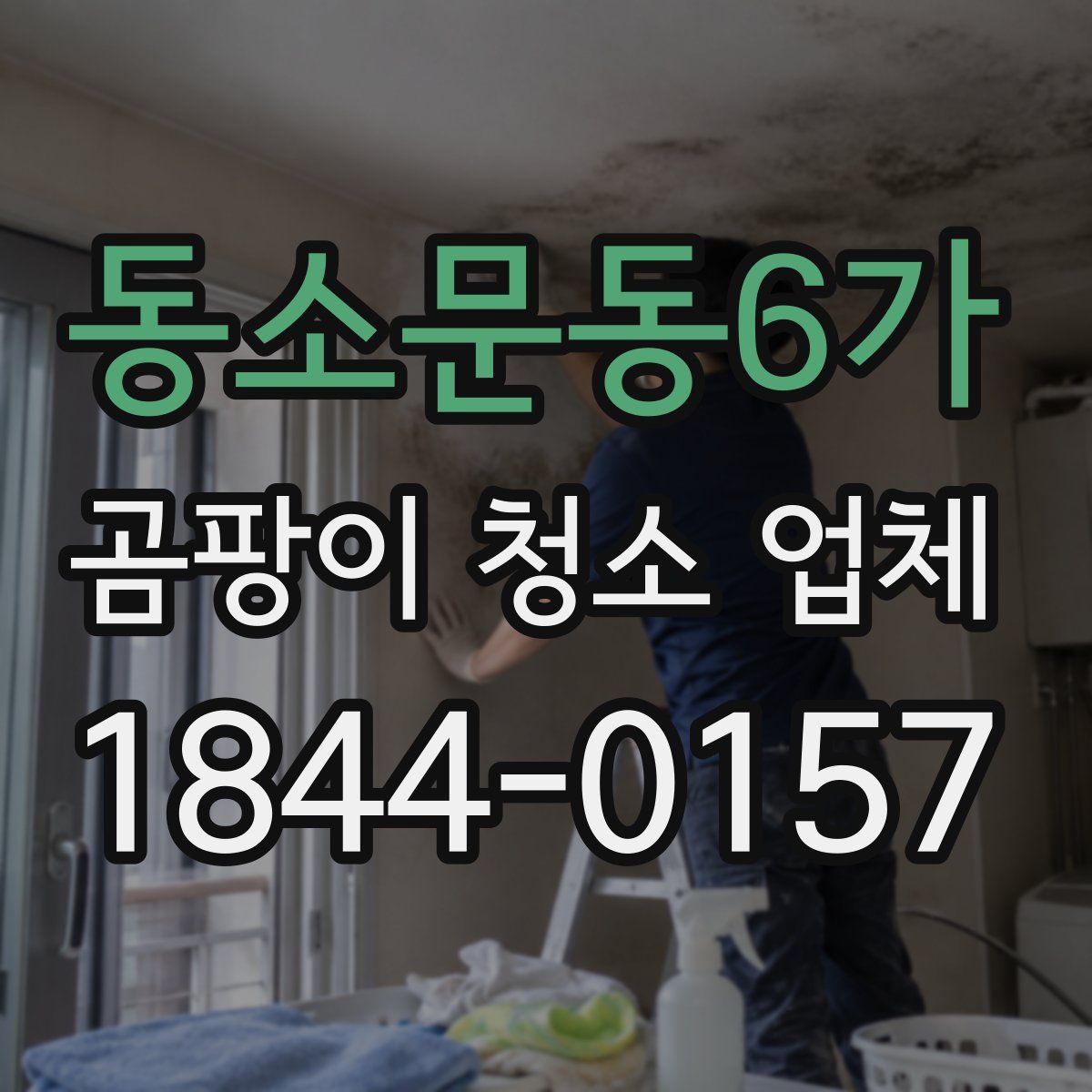 동소문동6가 곰팡이 청소 업체