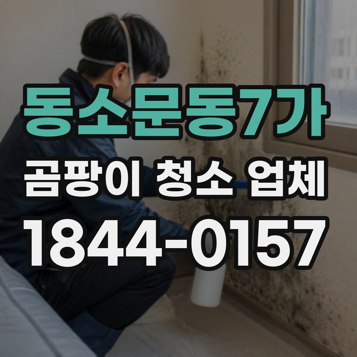 동소문동7가 곰팡이 청소 업체
