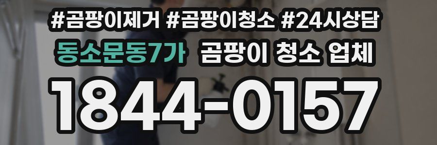 동소문동7가 곰팡이 청소 업체