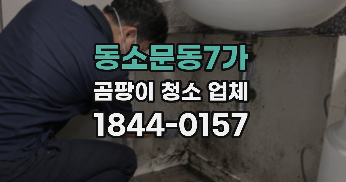동소문동7가 곰팡이 청소 업체